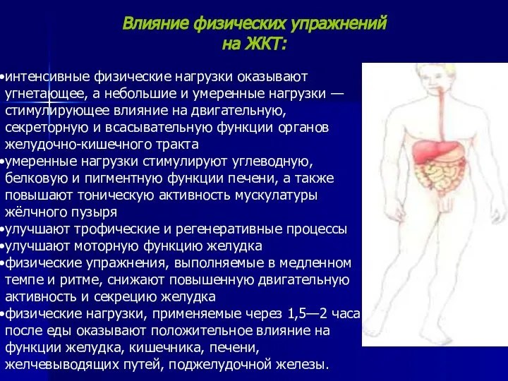 интенсивные физические нагрузки оказывают угнетающее, а небольшие и умеренные нагрузки —