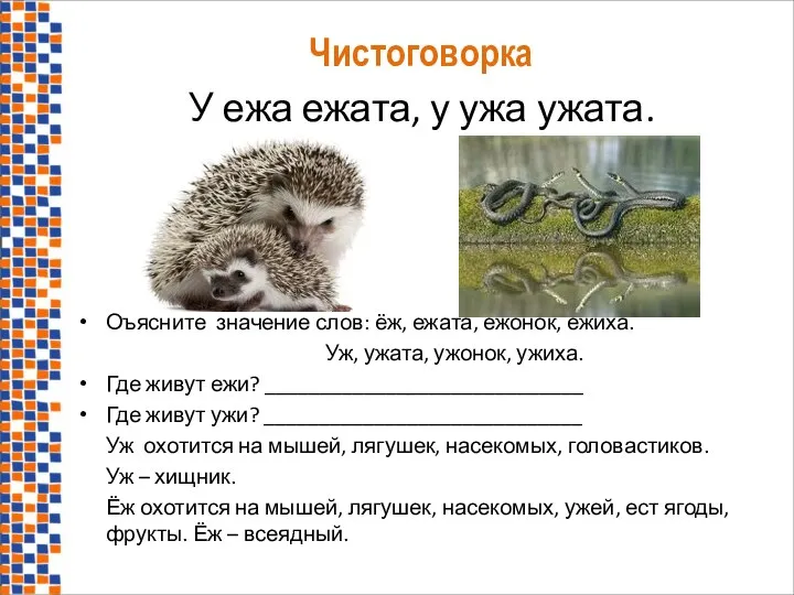 Чистоговорка У ежа ежата, у ужа ужата. Оъясните значение слов: ёж,