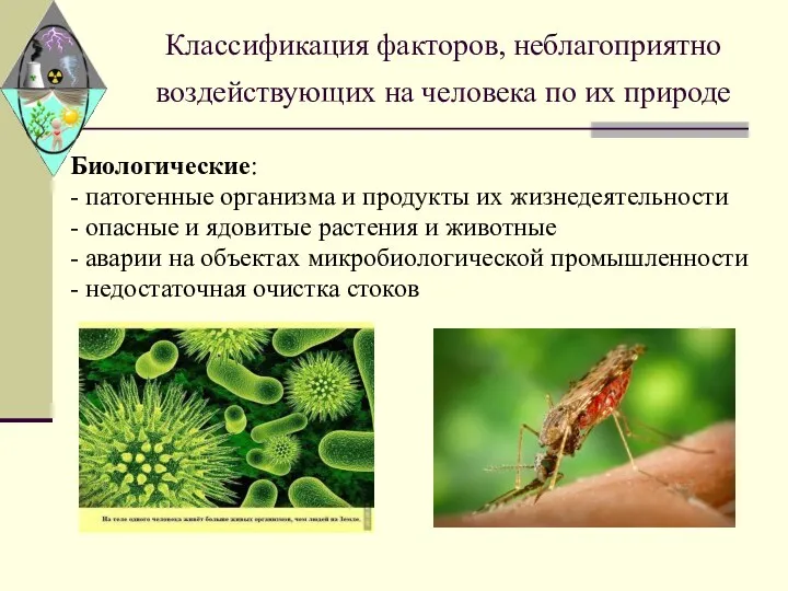 Классификация факторов, неблагоприятно воздействующих на человека по их природе Биологические: -