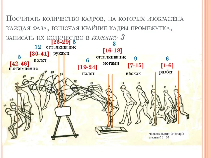 Посчитать количество кадров, на которых изображена каждая фаза, включая крайние кадры