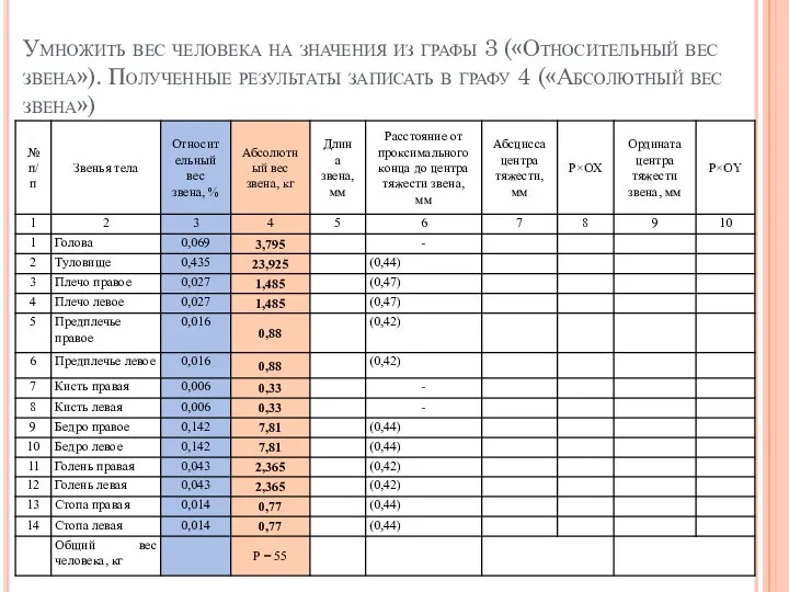 Умножить вес человека на значения из графы 3 («Относительный вес звена»).