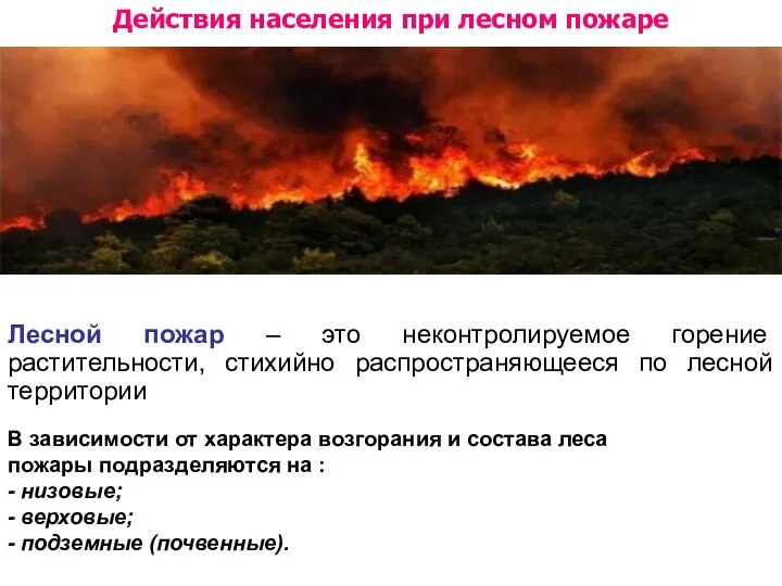 Лесной пожар – это неконтролируемое горение растительности, стихийно распространяющееся по лесной