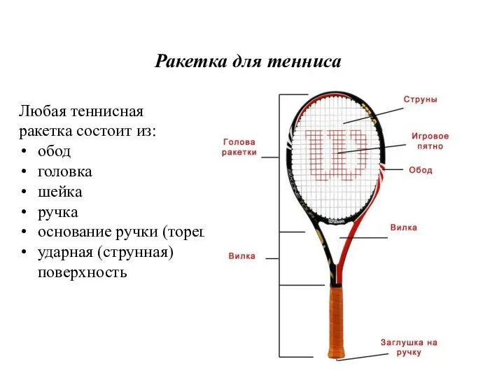 Любая теннисная ракетка состоит из: обод головка шейка ручка основание ручки