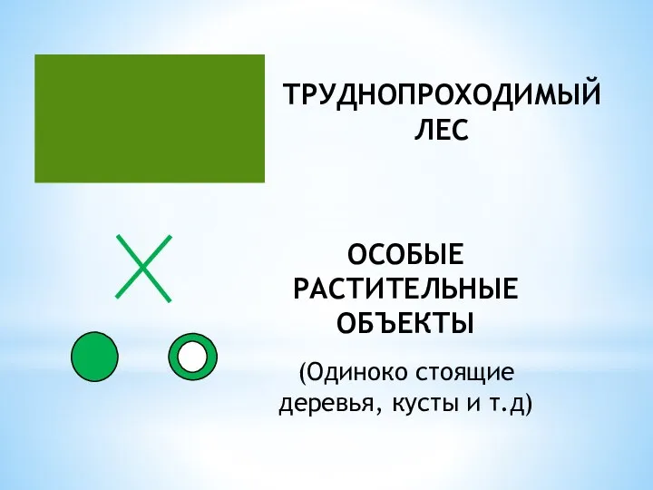 ТРУДНОПРОХОДИМЫЙ ЛЕС ОСОБЫЕ РАСТИТЕЛЬНЫЕ ОБЪЕКТЫ (Одиноко стоящие деревья, кусты и т.д)