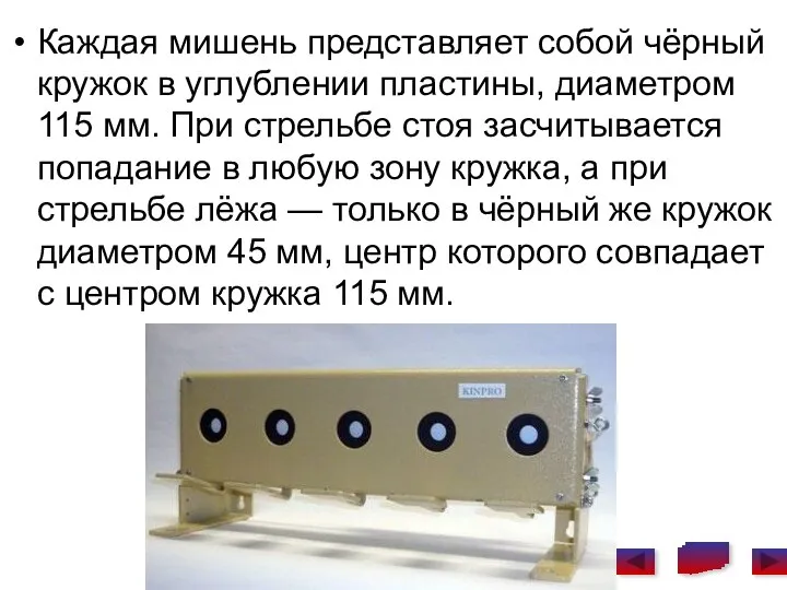 Каждая мишень представляет собой чёрный кружок в углублении пластины, диаметром 115