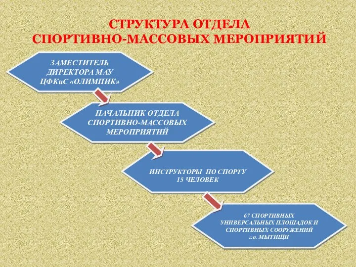 СТРУКТУРА ОТДЕЛА СПОРТИВНО-МАССОВЫХ МЕРОПРИЯТИЙ ЗАМЕСТИТЕЛЬ ДИРЕКТОРА МАУ ЦФКиС «ОЛИМПИК» НАЧАЛЬНИК ОТДЕЛА