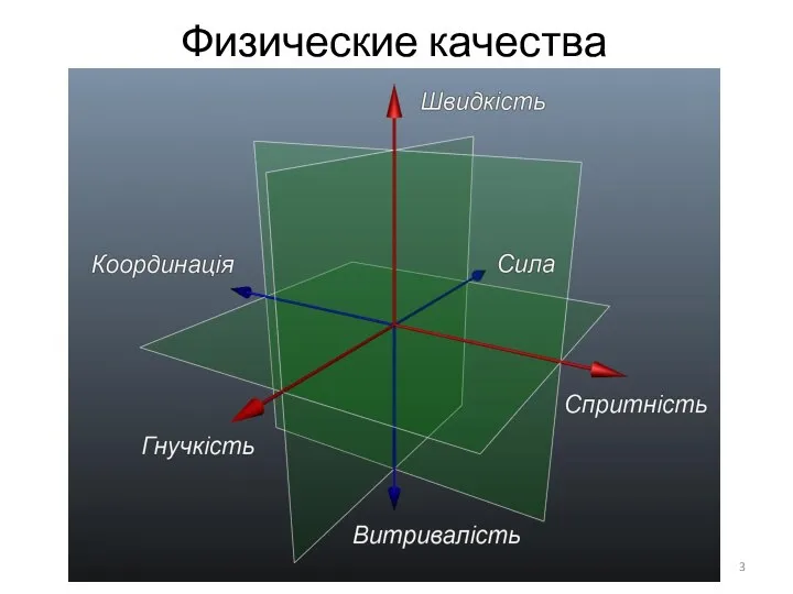 Физические качества