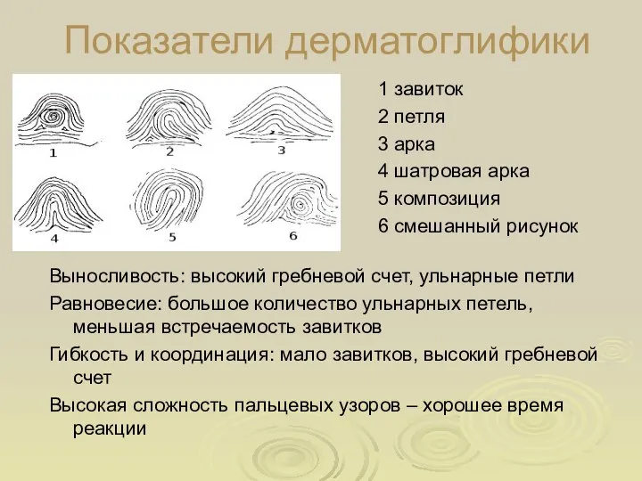 Показатели дерматоглифики 1 завиток 2 петля 3 арка 4 шатровая арка