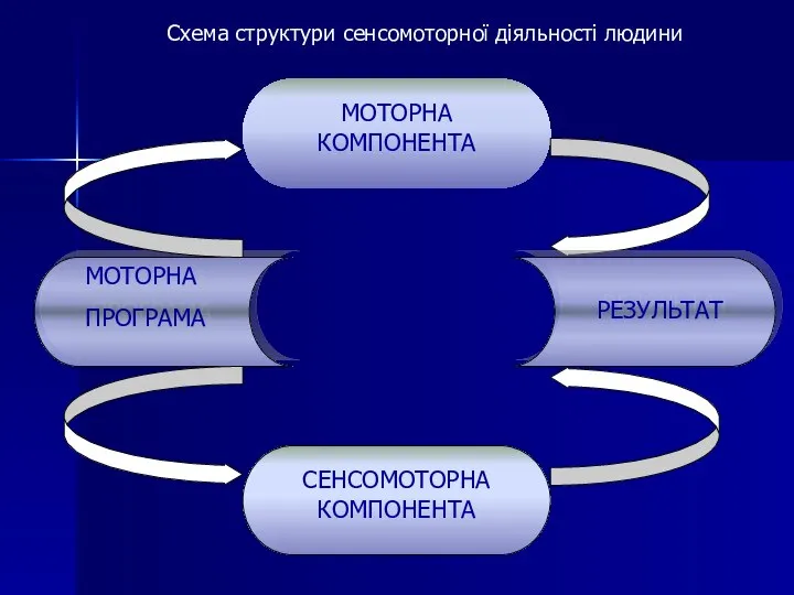 Схема структури сенсомоторної діяльності людини