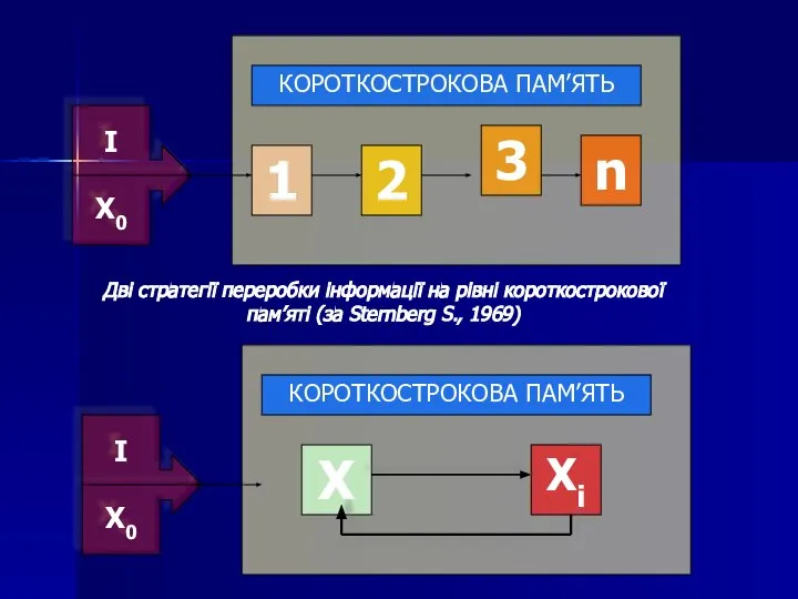 Дві стратегії переробки інформації на рівні короткострокової пам’яті (за Sternberg S., 1969)