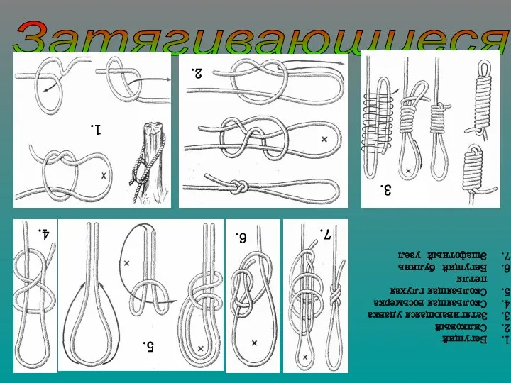 Затягивающиеся петли Бегущий Силковый Затягивающаяся удавка Скользящая восьмерка Скользящая глухая петля