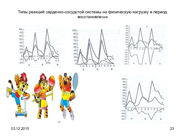 Типы реакций сердечно-сосудстой системы на физическую нагрузку в период восстановления 03.12.2015