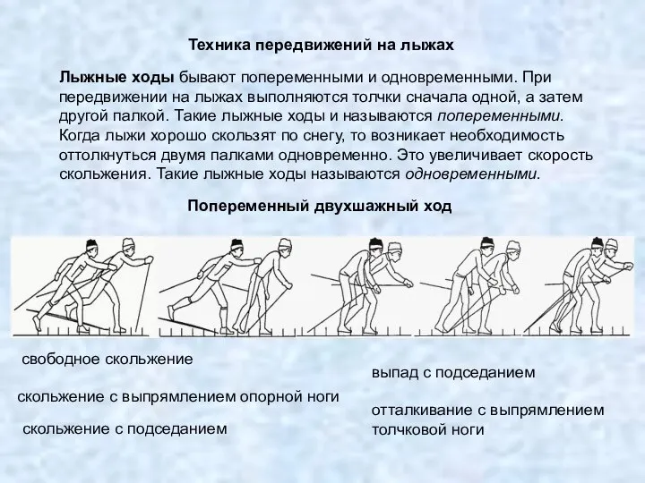 Техника передвижений на лыжах Лыжные ходы бывают попеременными и одновременными. При