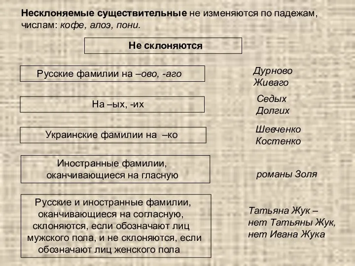 Несклоняемые существительные не изменяются по падежам, числам: кофе, алоэ, пони. Не