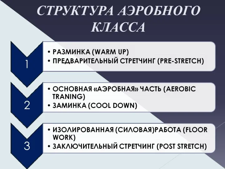 СТРУКТУРА АЭРОБНОГО КЛАССА