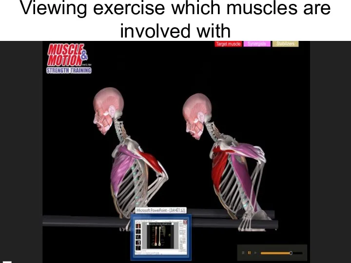 Viewing exercise which muscles are involved with