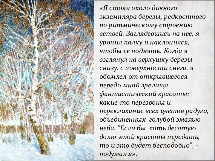 «Я стоял около дивного экземпляра березы, редкостного по ритмическому строению ветвей.