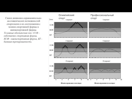 Профессиональный спорт Олимпийский спорт Схема динамики соревновательно-достиженческих возможностей спортсмена и их