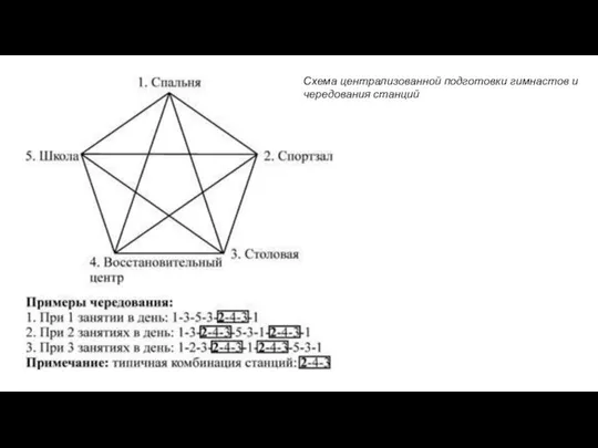 Схема централизованной подготовки гимнастов и чередования станций
