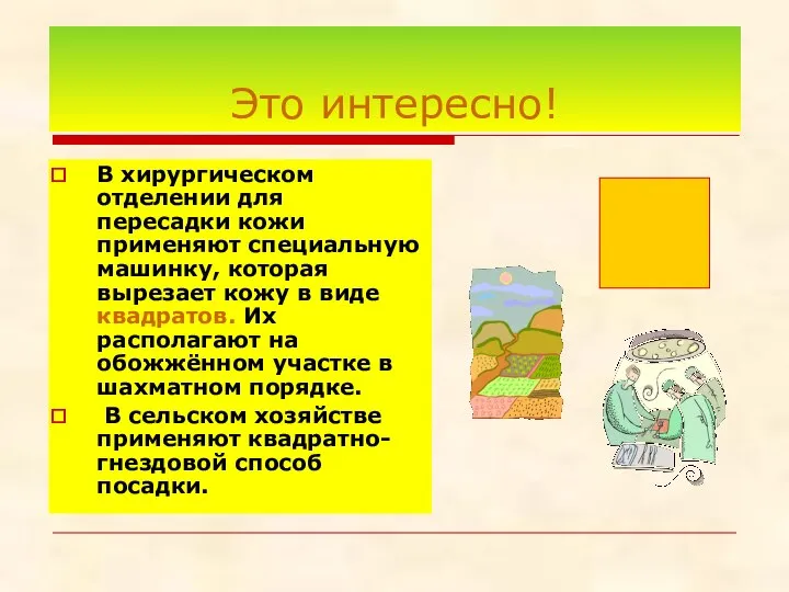 Это интересно! В хирургическом отделении для пересадки кожи применяют специальную машинку,