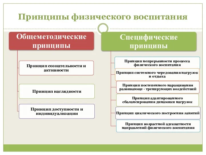 Принципы физического воспитания