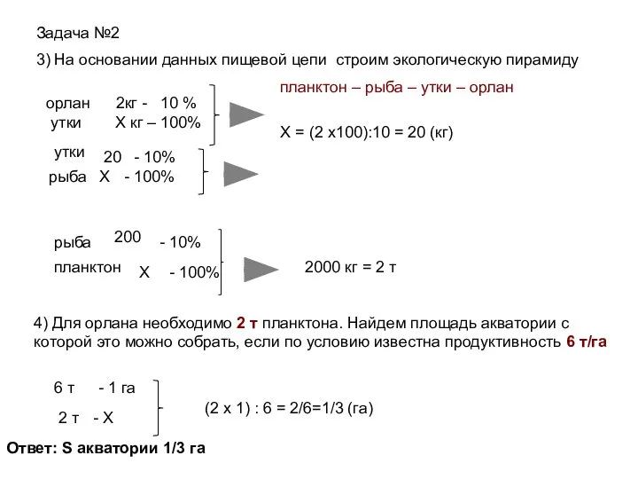 Задача №2 3) На основании данных пищевой цепи строим экологическую пирамиду