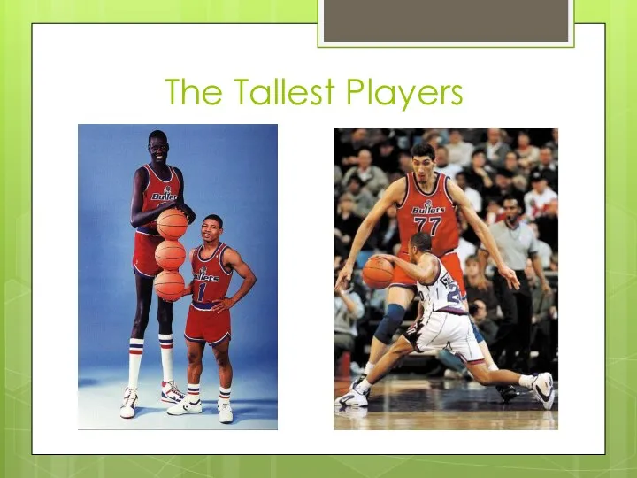 The Tallest Players
