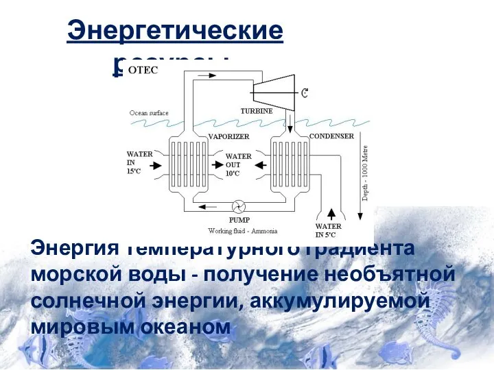 Энергетические ресурсы: Энергия температурного градиента морской воды - получение необъятной солнечной энергии, аккумулируемой мировым океаном