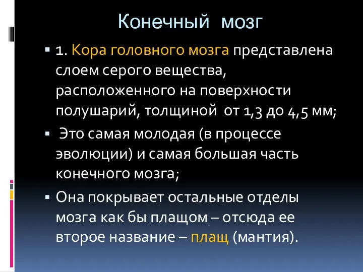 Конечный мозг 1. Кора головного мозга представлена слоем серого вещества, расположенного