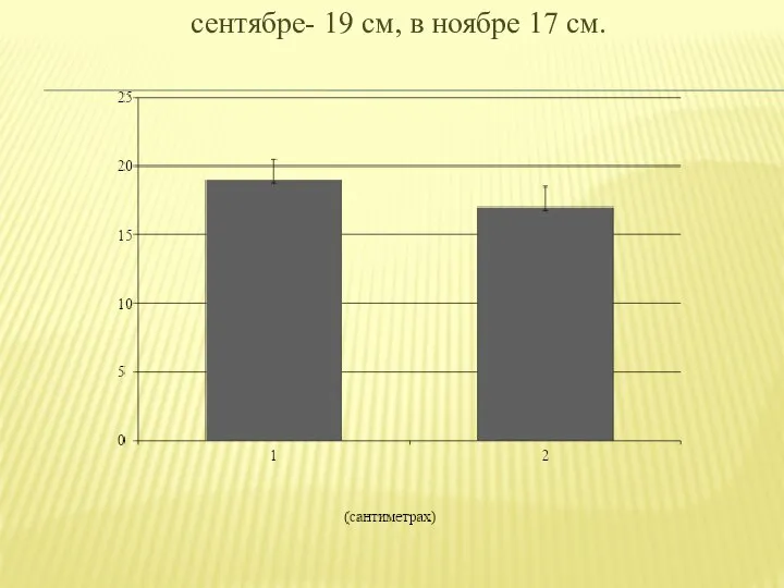 сентябре- 19 см, в ноябре 17 см.