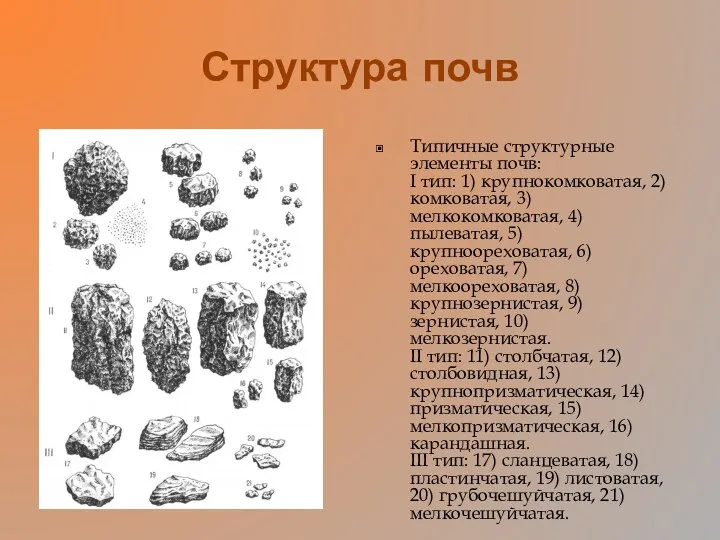 Структура почв Типичные структурные элементы почв: I тип: 1) крупнокомковатая, 2)