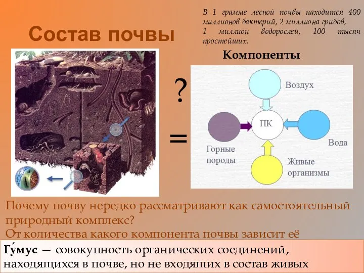 Состав почвы Почему почву нередко рассматривают как самостоятельный природный комплекс? =