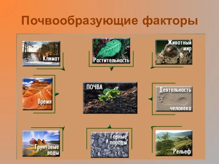 Почвообразующие факторы