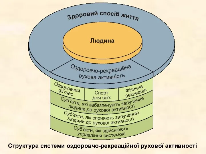 Структура системи оздоровчо-рекреаційної рухової активності