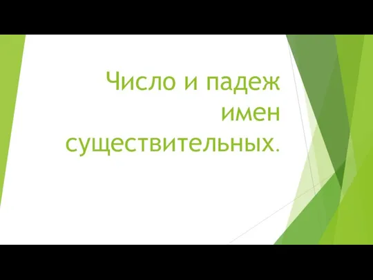 Число и падеж имен существительных.