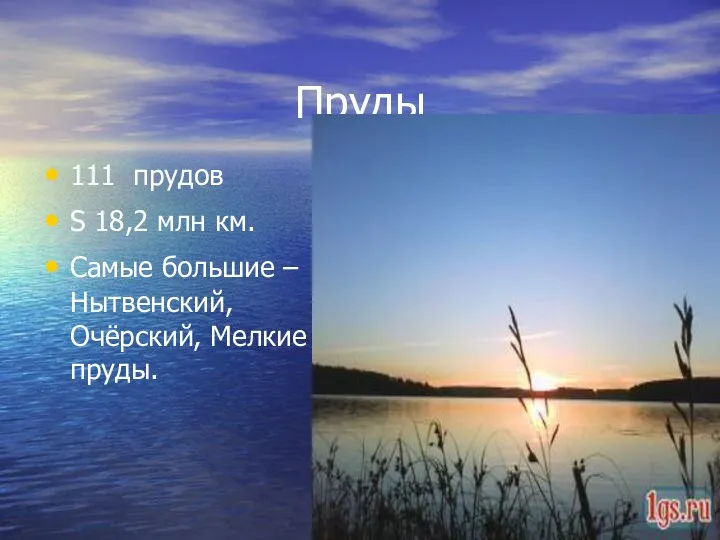 Пруды 111 прудов S 18,2 млн км. Самые большие – Нытвенский, Очёрский, Мелкие пруды.