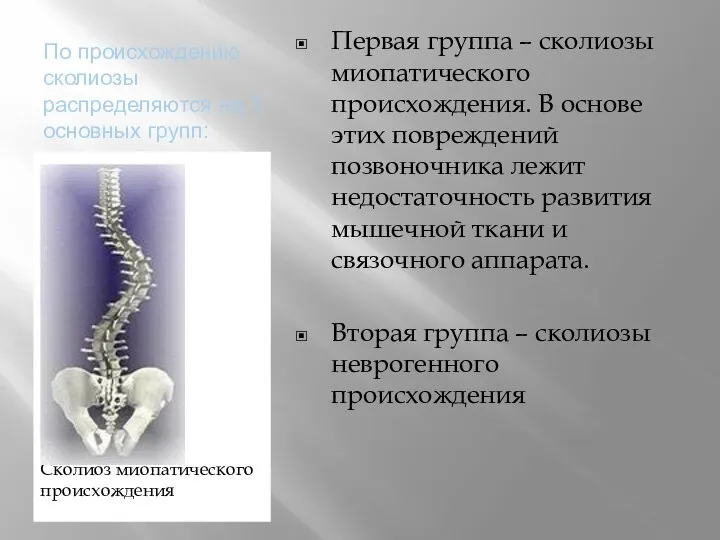 По происхождению сколиозы распределяются на 5 основных групп: Сколиоз миопатического происхождения