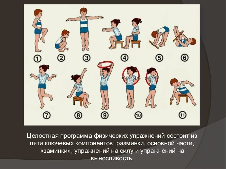 Целостная программа физических упражнений состоит из пяти ключевых компонентов: разминки, основной