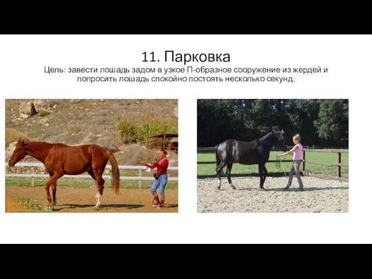 11. Парковка Цель: завести лошадь задом в узкое П-образное сооружение из