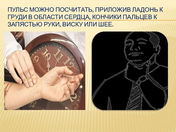 ПУЛЬС МОЖНО ПОСЧИТАТЬ, ПРИЛОЖИВ ЛАДОНЬ К ГРУДИ В ОБЛАСТИ СЕРДЦА, КОНЧИКИ