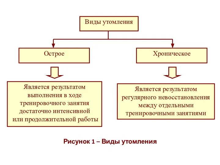 Рисунок 1 – Виды утомления