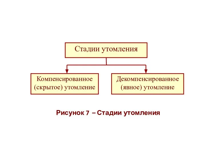 Рисунок 7 – Стадии утомления