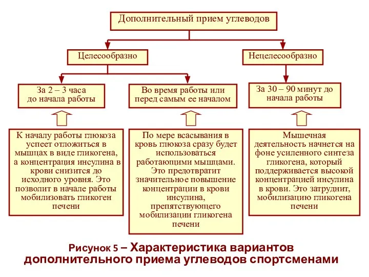 Рисунок 5 – Характеристика вариантов дополнительного приема углеводов спортсменами