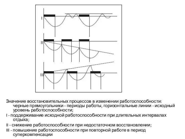 Значение восстановительных процессов в изменении работоспособности: черные прямоугольники - периоды работы,