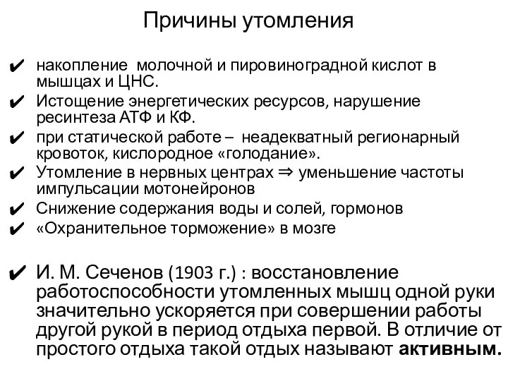 Причины утомления накопление молочной и пировиноградной кислот в мышцах и ЦНС.