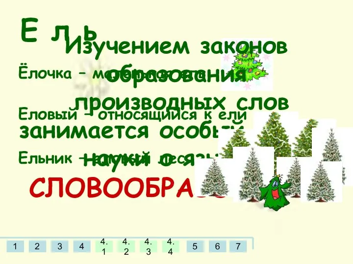 Е л ь Еловый – относящийся к ели Ёлочка – маленькая