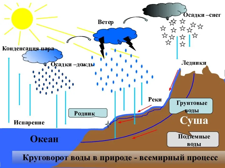 Испарение Конденсация пара Осадки –дождь Осадки –снег Ветер Круговорот воды в