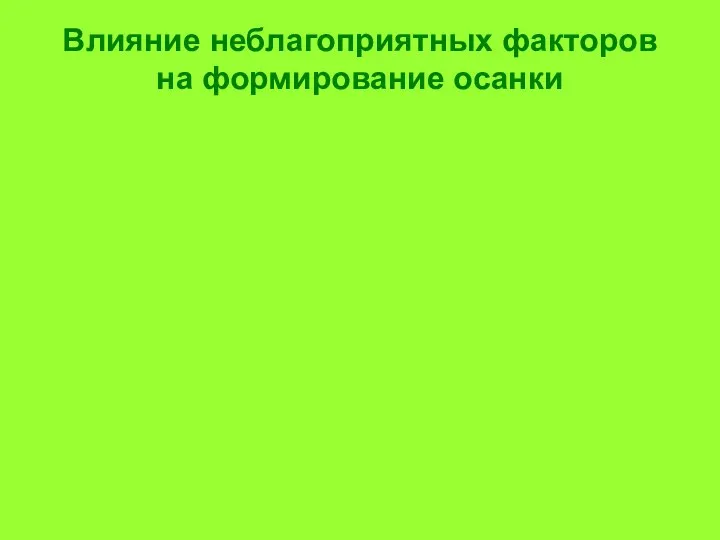 Влияние неблагоприятных факторов на формирование осанки