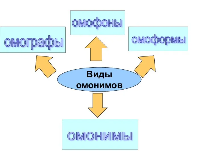 Виды омонимов омонимы омографы омофоны омоформы