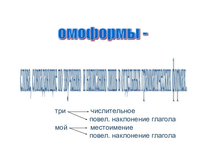 омоформы - слова, совпадающие по звучанию и написанию лишь в отдельных